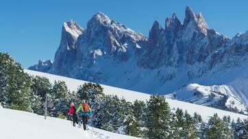 schneeschuwandern-idm05588dide