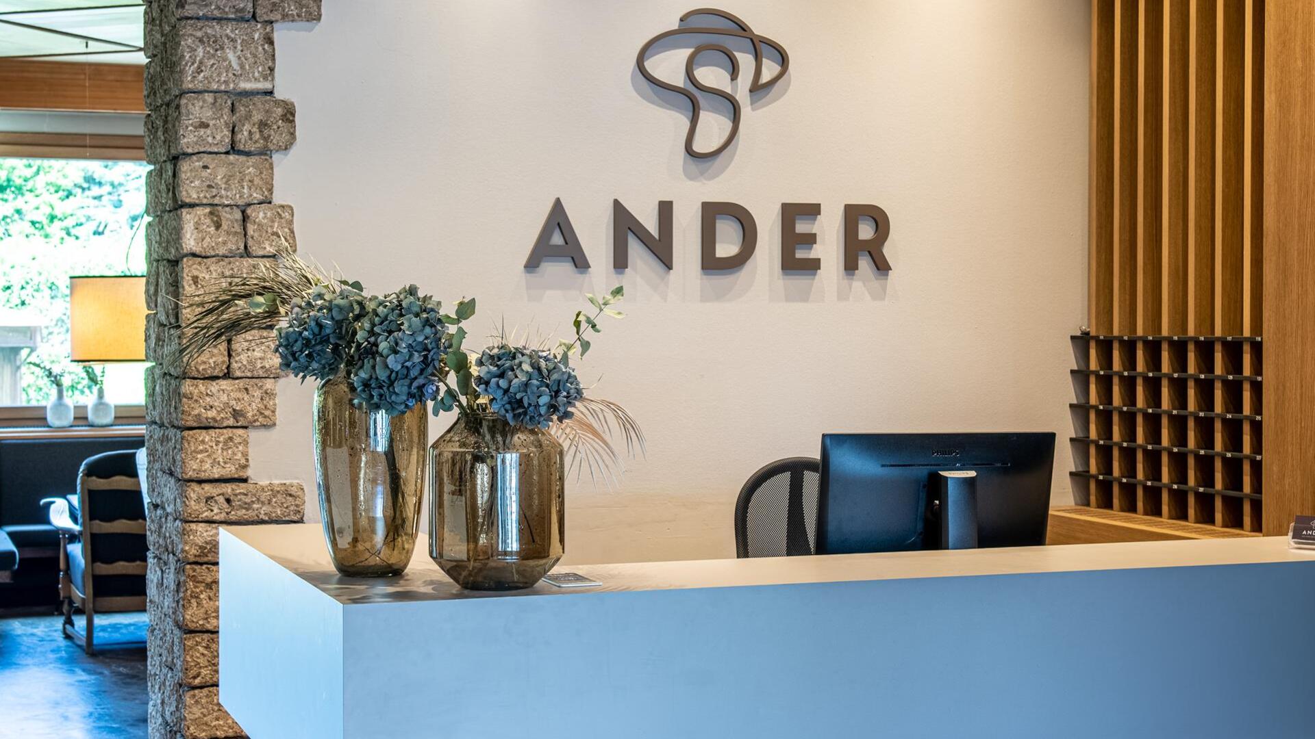 Hotel Ander Rezeption